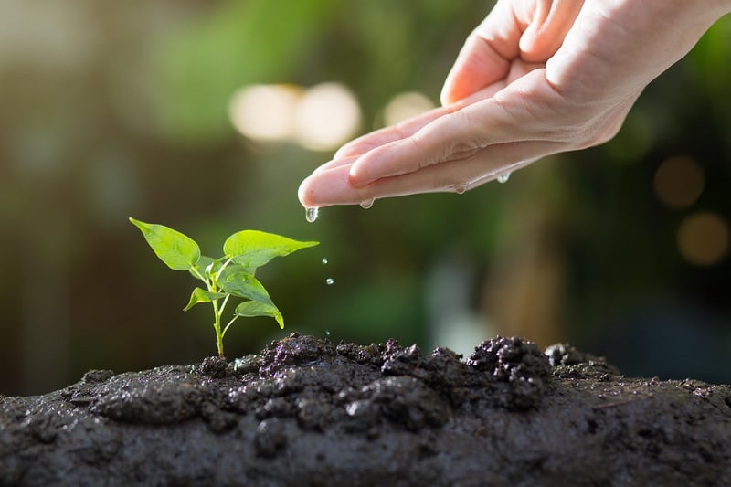 Gardening Soil